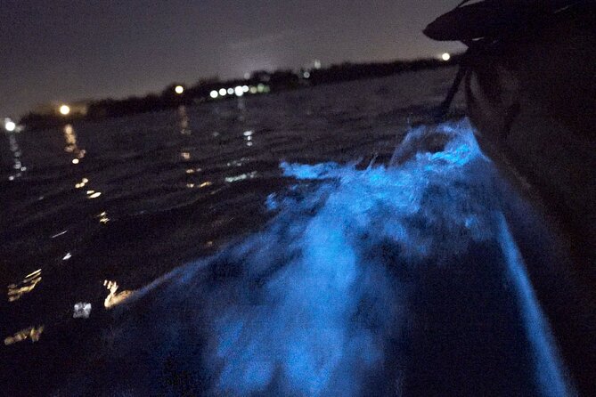 Bioluminescence Kayak Tour - Cancellation Policy
