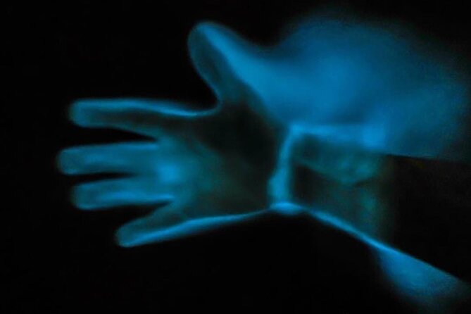 Bioluminescence Kayak Tour - Frequently Asked Questions