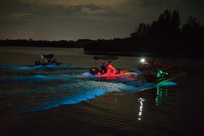 Bioluminescence Night Craigcat Tours - The Itinerary Breakdown