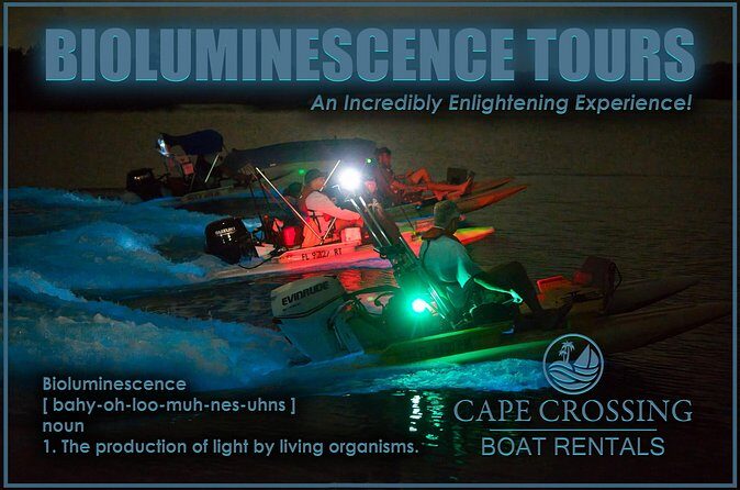 Bioluminescence Night Craigcat Tours - FAQs