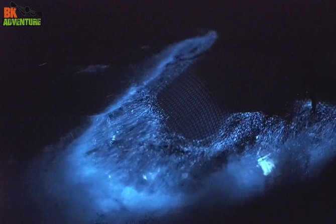 Bioluminescence Night Kayaking Tour of Merritt Island Wildlife Refuge - Tour Experience