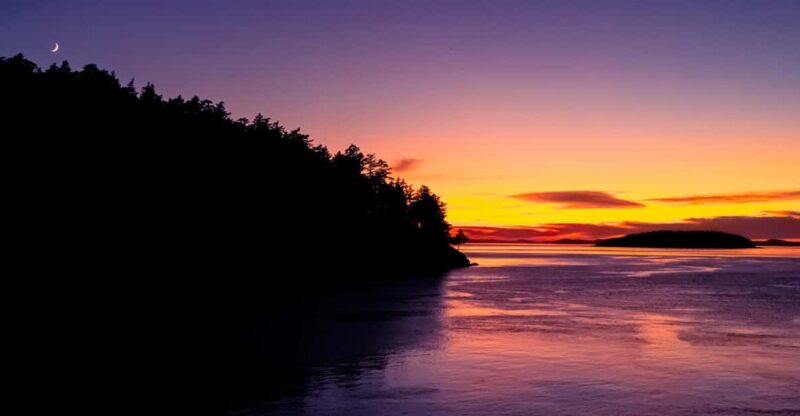 Bioluminescence Night Paddle - Key Points