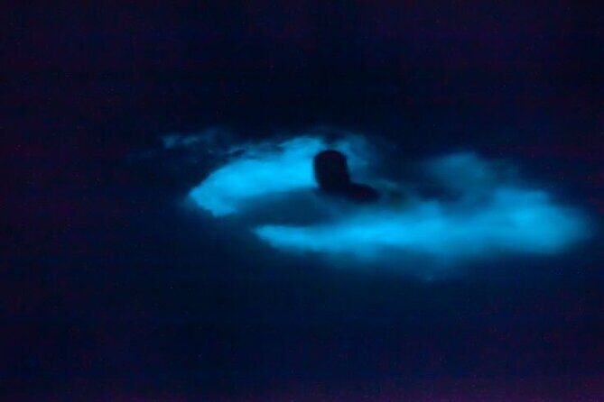 Bioluminescence & sunset local boat tour to Los Arcos Sanctuary - A Detailed Look at the Experience
