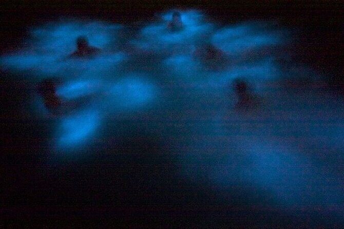 Bioluminescence & sunset local boat tour to Los Arcos Sanctuary - Practical Tips