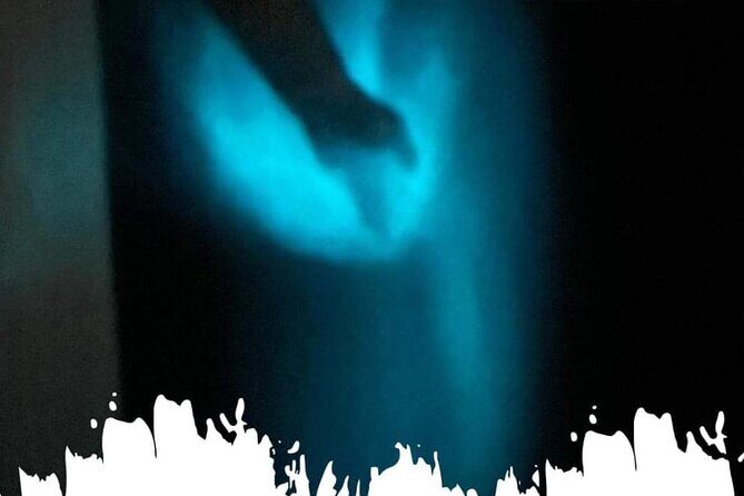 Bioluminescence swim with stars - The Experience: A Closer Look at the Itinerary