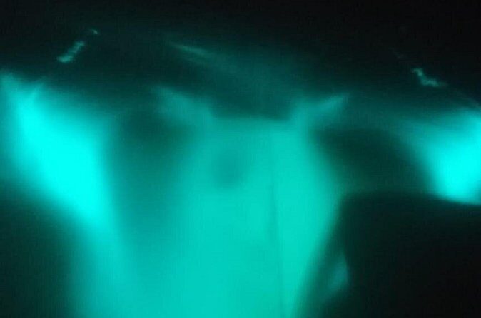 Bioluminescence swim with stars - What’s Included and What’s Not