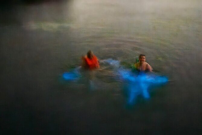 Bioluminescence Tour - What to Expect on the Bioluminescence Tour