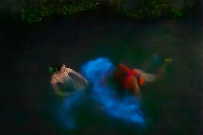 Bioluminescence Tour - The Sum Up