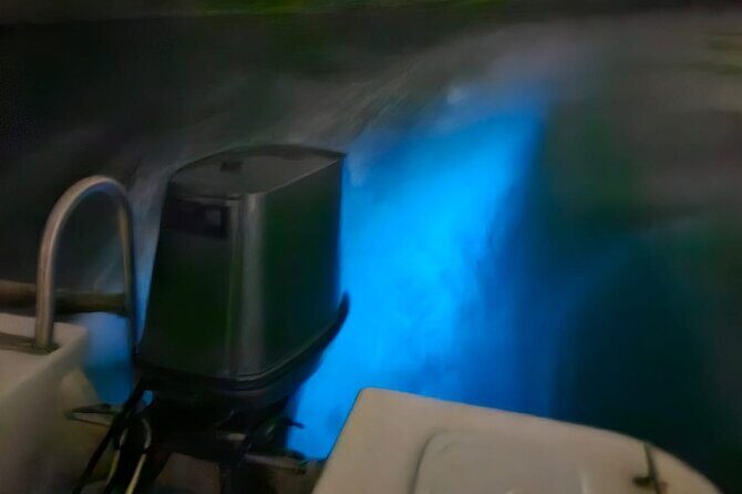 Bioluminescence Tour - FAQ