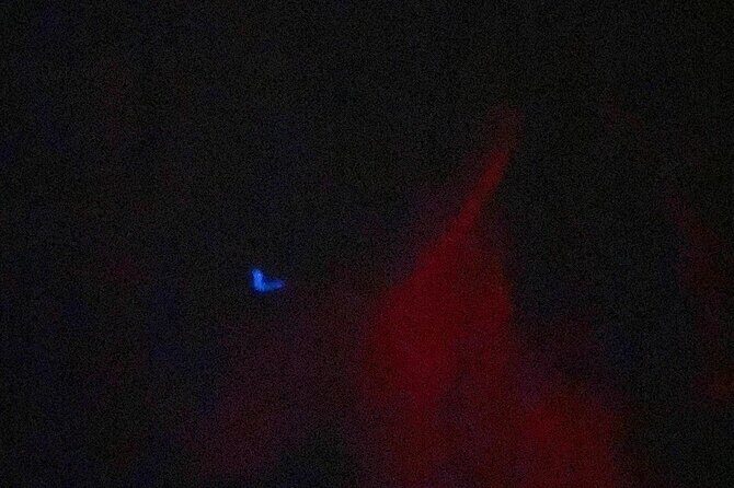 Bioluminescence Tour in Punta Cocos Holbox - Why This Tour Offers Great Value