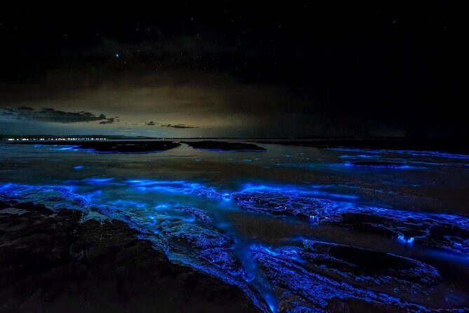 Bioluminescent Bay Adventure in Grand Cayman - What to Expect from the Tour