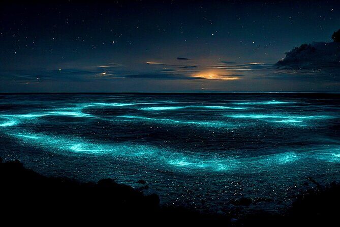 Bioluminescent Bay Adventure in Grand Cayman - Practical Tips for Travelers