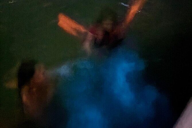 Bioluminescent Bay Boat Charter in Grand Cayman - Key Points