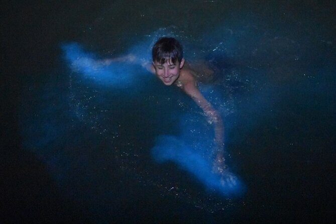 Bioluminescent Bay Boat Charter in Grand Cayman - Summing Up the Experience