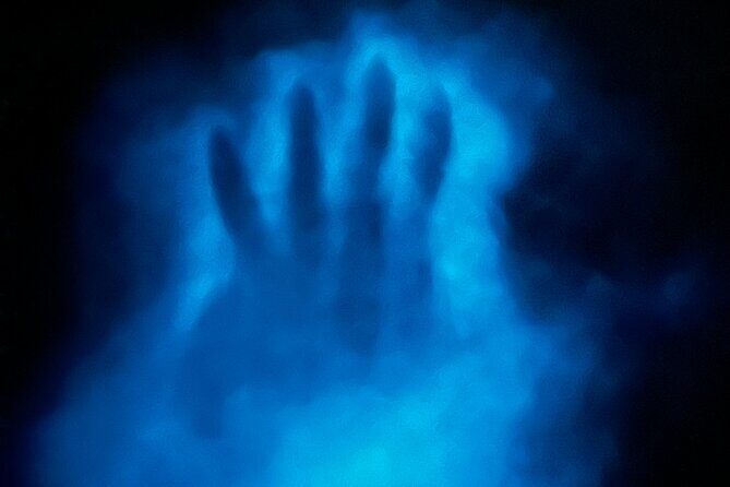 Bioluminescent Bay Chiliboats Waterbike Tour in La Parguera - Value for Money and Practical Details