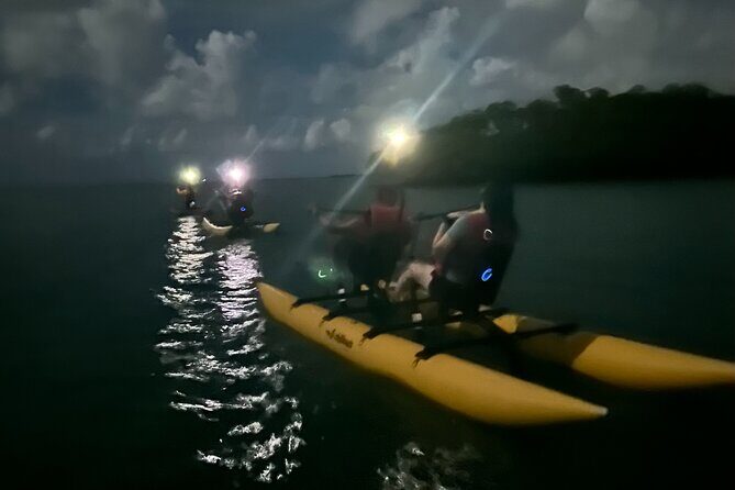 Bioluminescent Bay Chiliboats Waterbike Tour in La Parguera - Authentic Guest Experiences