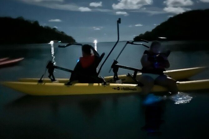 Bioluminescent Bay Chiliboats Waterbike Tour in La Parguera - The Sum Up: Who’s This Tour Best For?