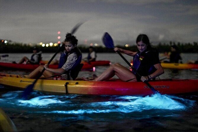 Bioluminescent Bay Kayak Tour in Fajardo Puerto Rico - Experience the Magic of Puerto Rico’s Bioluminescent Bay: A Detailed Review