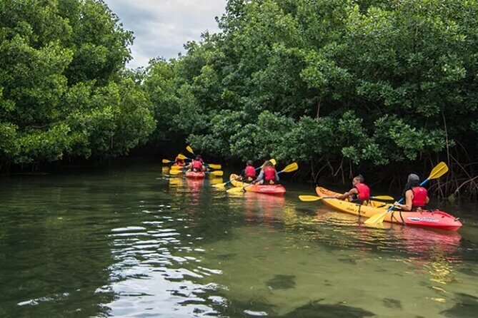 Bioluminescent Bay Kayak Tour in Fajardo Puerto Rico - Final Thoughts: Who Will Love This Tour?