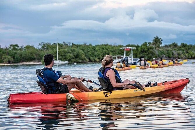 Bioluminescent Bay Kayak Tour in Fajardo Puerto Rico - Final Words