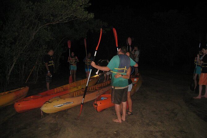 Bioluminescent Bay Kayak Trip from Vieques - Key Points