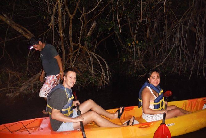 Bioluminescent Bay Kayak Trip from Vieques - Exploring the Experience: What You Can Expect
