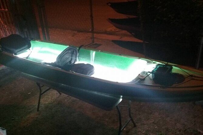 Bioluminescent Bay Kayak Trip from Vieques - Is This Tour Worth It?