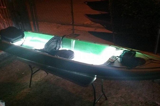 Bioluminescent Bay Kayak Trip from Vieques - The Sum Up