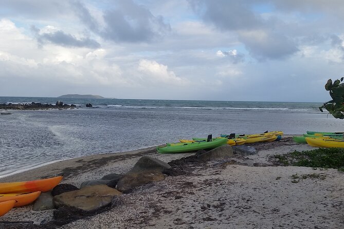 Bioluminescent Bay Night Kayak Experience - Highlights of the Tour
