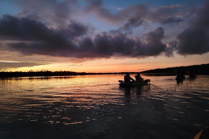 Bioluminescent Bay Night Kayaking Adventure in Puerto Rico - Key Points