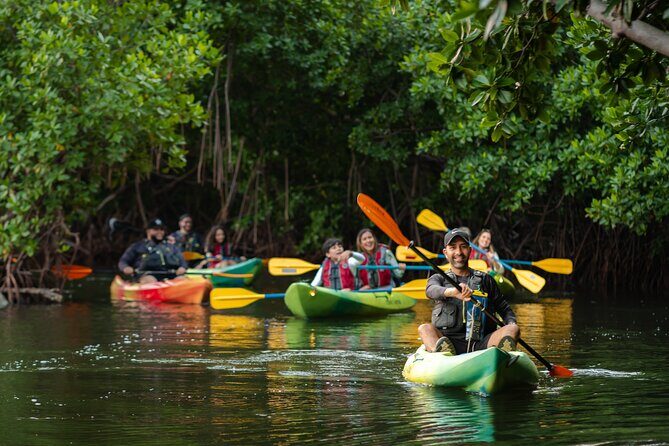 Bioluminescent Bay Night Kayaking Adventure in Puerto Rico - FAQ