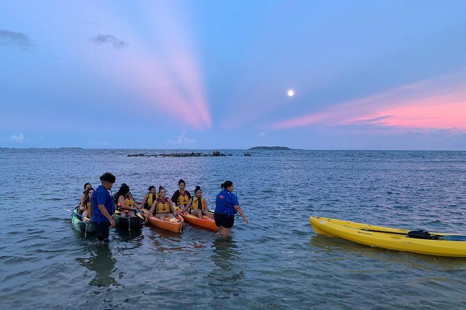 Bioluminescent Bay Night Kayaking, Fajardo - Discovering Puerto Rico’s Unique Bioluminescent Experience