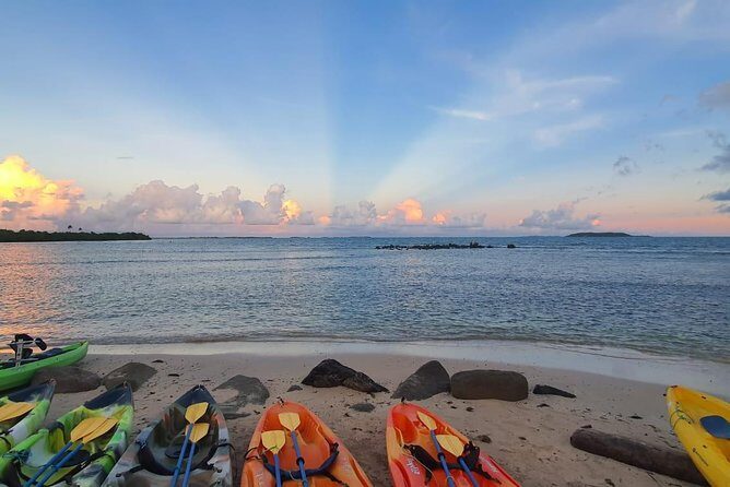 Bioluminescent Bay Night Kayaking, Fajardo - A Balanced Look: Pros and Cons