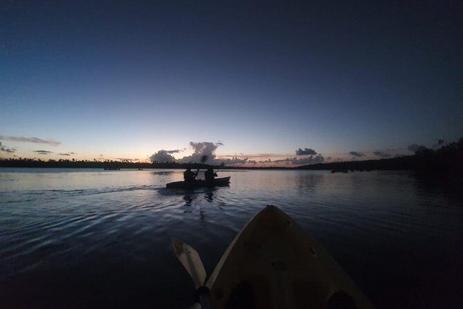 Bioluminescent Bay Night Kayaking, Fajardo - Frequently Asked Questions