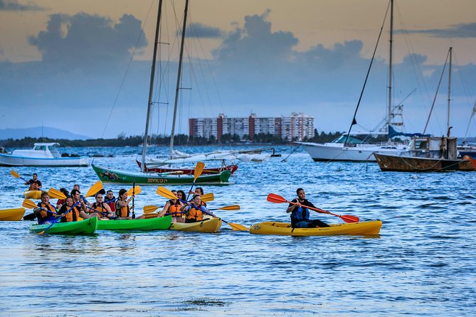 Bioluminescent Bay Night Kayaking Tour in Laguna Grande Fajardo - Customer Feedback