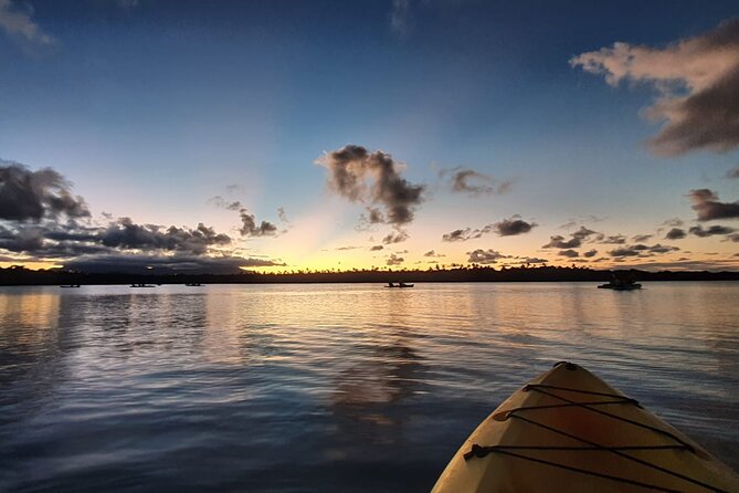 Bioluminescent Bay Night Kayaking Tour in Laguna Grande Fajardo - Guided Tour Details