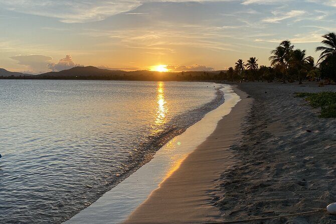 Bioluminescent Boat Tour in Mosquito Bay, Vieques - An In-Depth Look at the Mosquito Bay Bioluminescent Boat Tour