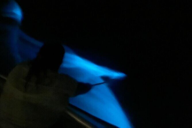 Bioluminescent Boat Tour in Mosquito Bay, Vieques - Practical Details: Transportation, Timing, and Tips