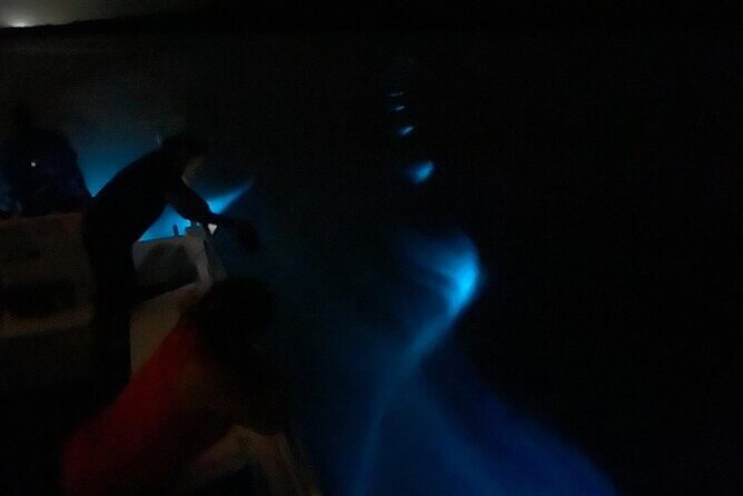 Bioluminescent Boat Tour in Mosquito Bay, Vieques - FAQs