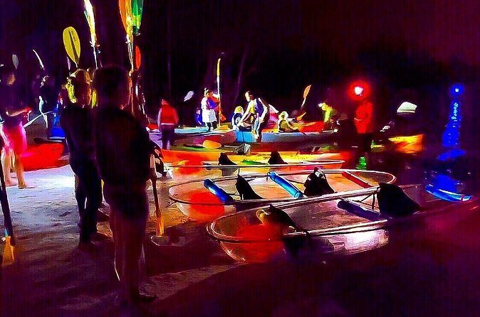 Bioluminescent Comb Jelly Clear Kayaking Tour - Why This Tour Offers Great Value