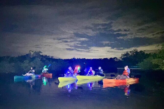 Bioluminescent Kayak Tour in Floridas Indian River Lagoon - Practical Details and Tips