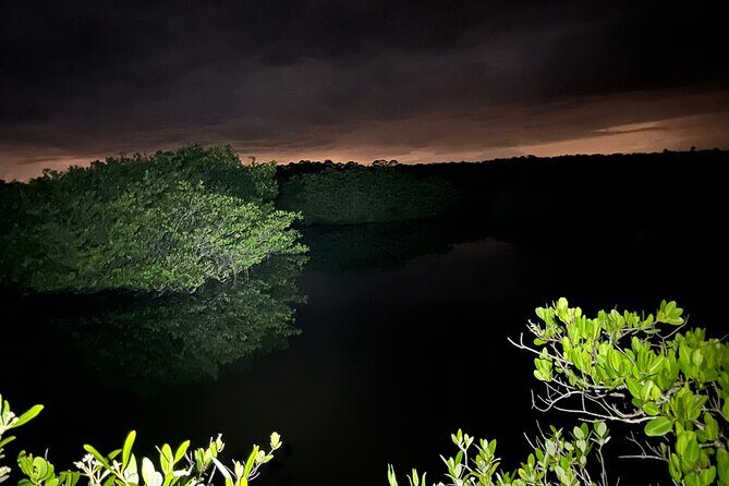 Bioluminescent Kayak Tour in Floridas Indian River Lagoon - FAQ