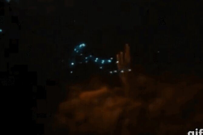 Bioluminescent Night Snorkeling - What to Expect During the Tour