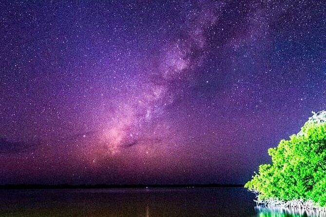 Bioluminescent Night Tour - Recommendations and Tips