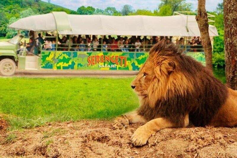 Bioparque Estrella Safari Experience Ticket - Key Points