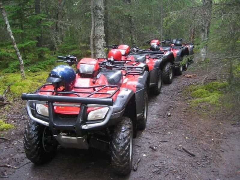 Bird Creek: Chugach State Park ATV Nature Tour & Hike - The Real Value of This Tour