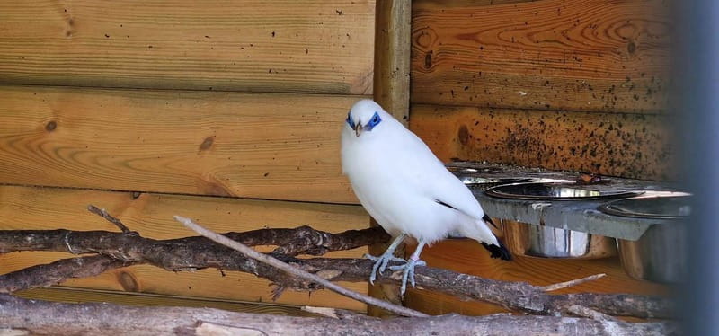 Bird Island sweet west tour - FAQ