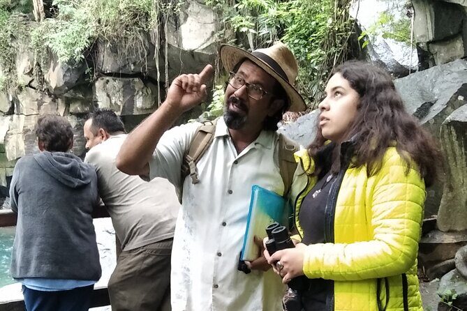 Bird Observation in the National Park of Uruapan. - Bird Observation in the National Park of Uruapan: A Quiet Escape into Nature