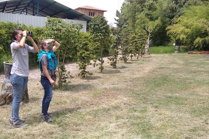 Bird Observation in the National Park of Uruapan. - Key Points