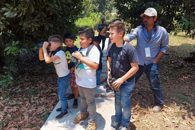 Bird Observation in the National Park of Uruapan. - Final Thoughts: Who Is This Tour Best For?